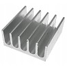Radiator aluminiowy 22x22x10mm srebrny