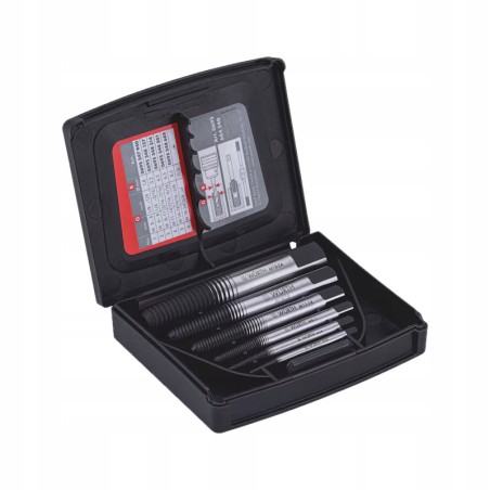 Wurth Zestaw wykrętaków do śrub 6 sztuk do śrub M3-M24 (0695684540)