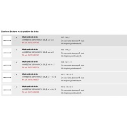 Wurth Zestaw wykrętaków do śrub 6 sztuk do śrub M3-M24 (0695684540)